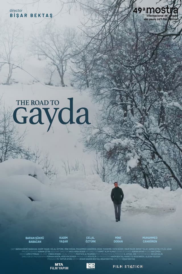 The Road to Gayda
